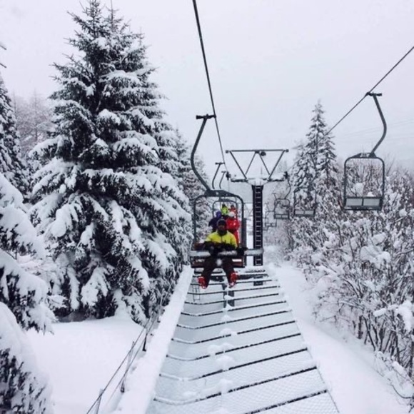 Meet your Posher, Ace - Picture 1 of 1